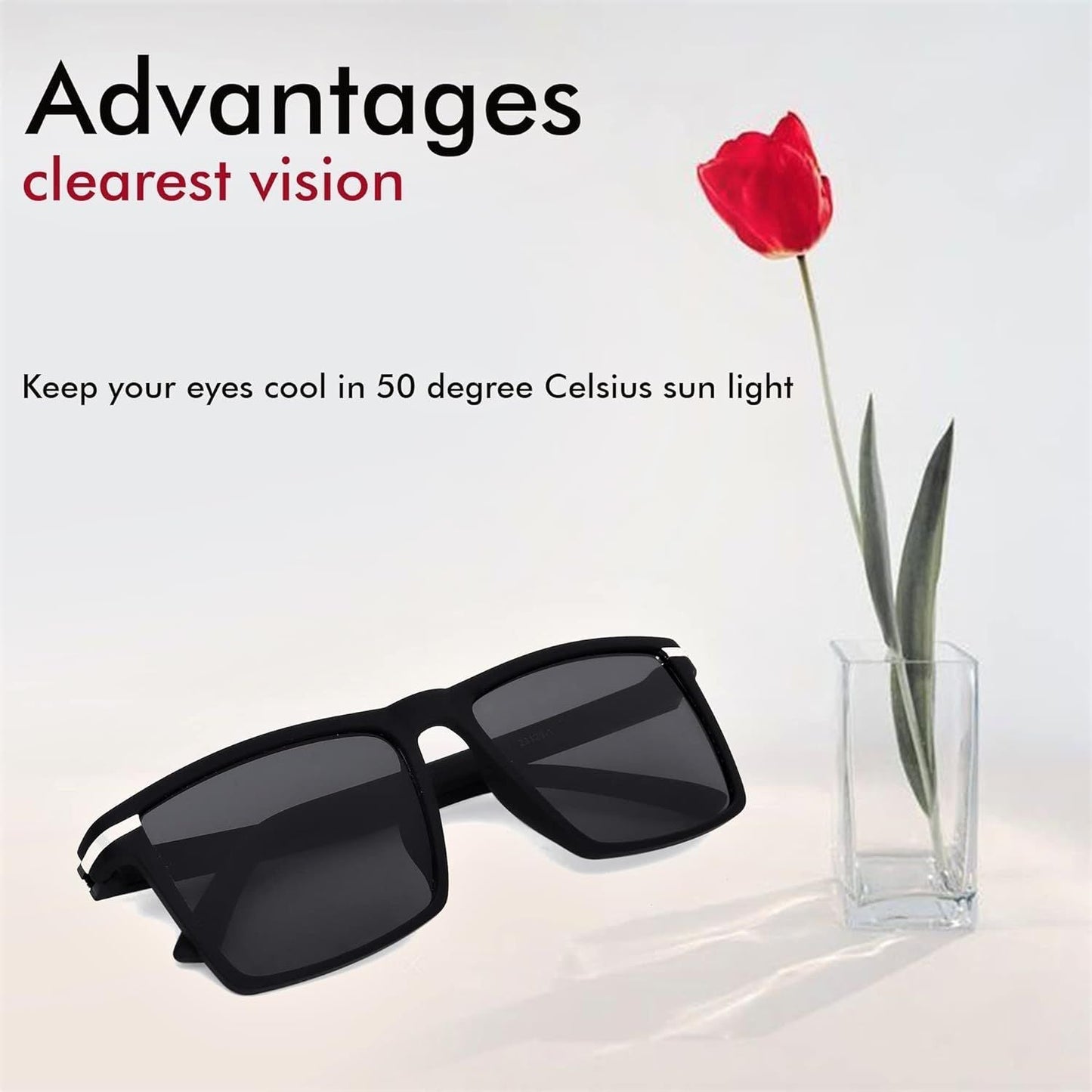 Wayfarer Black Square Unisex Sunglass