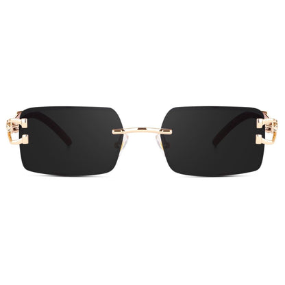 Rimeless Sunglass With Black Shade